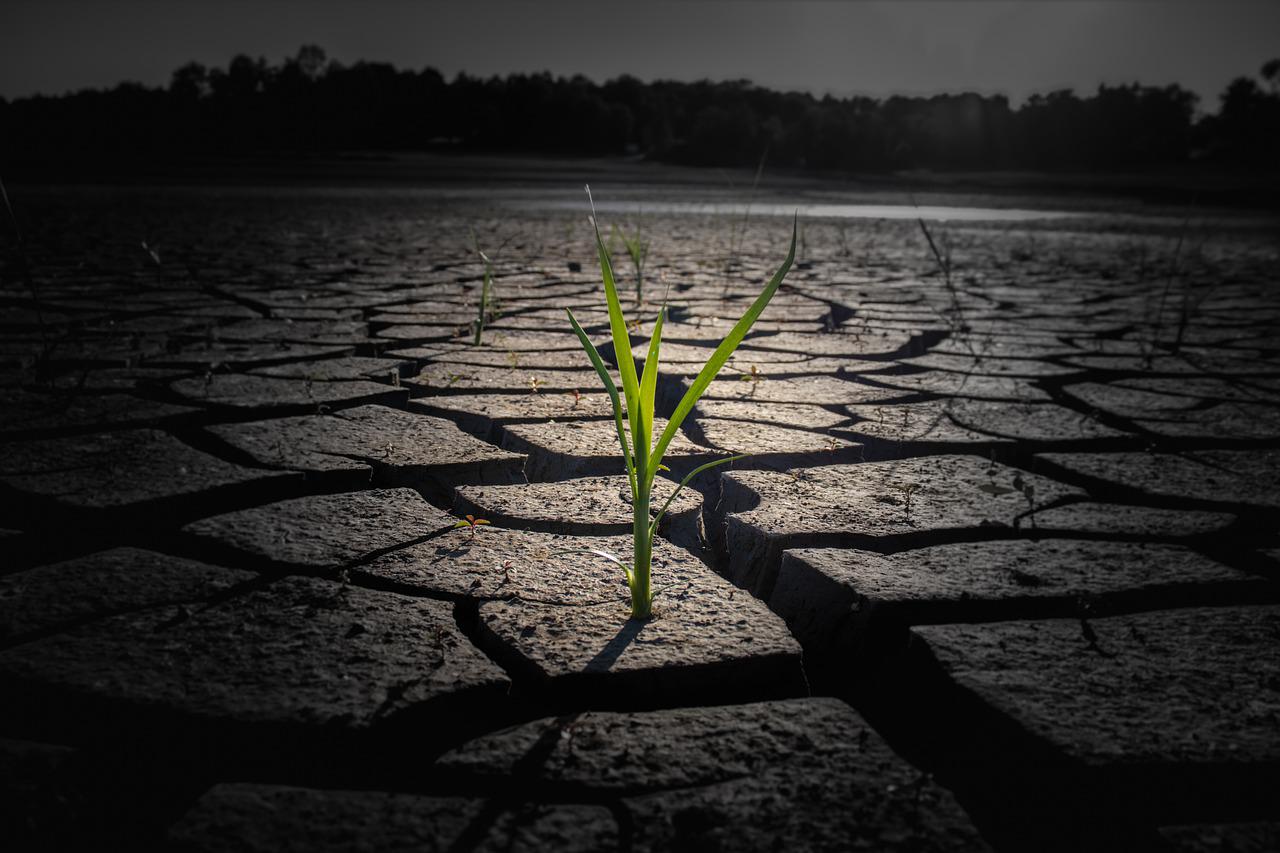 global warming